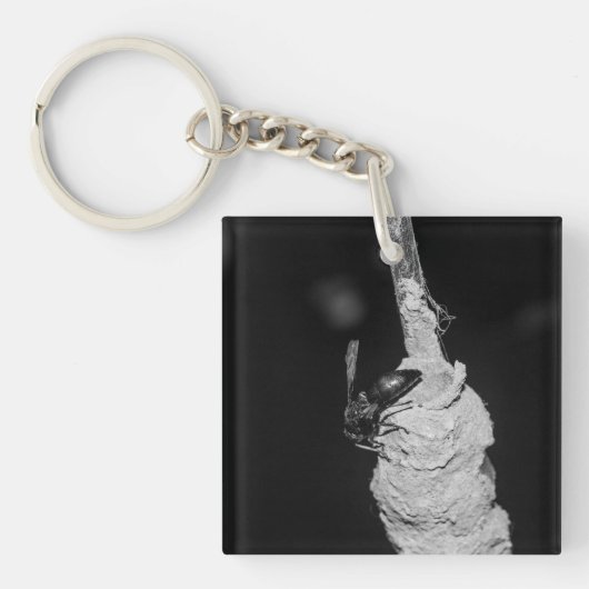 Brachygastra Sleutelhanger (Voorkant)