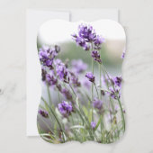 Bracket des Invitations de Fêtes des mariées de la (Dos)