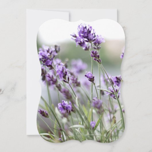 Bracket des Invitations de Fêtes des mariées de la (Dos)