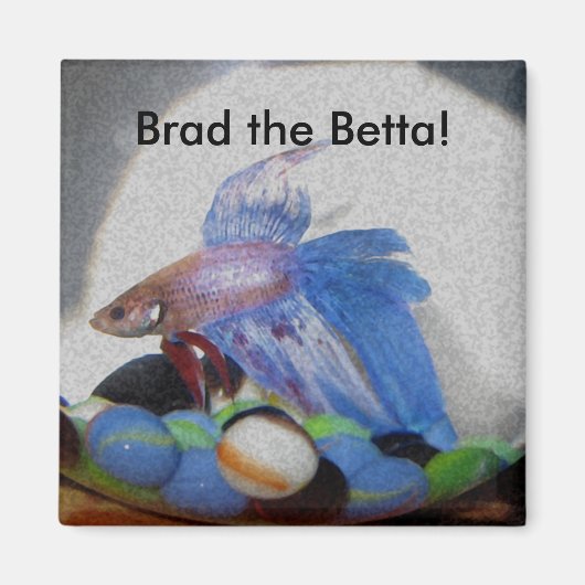 Brad de Betta! Magneet (Voorkant)
