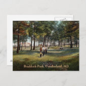 Braddock Park  Cumberland Briefkaart (Voorkant / Achterkant)