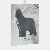 Braden Newf for Carol Glas Ornament (Voorkant Rechts)