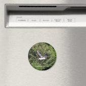 Bradford Lake Loon magneet (Insitu (Vaatwasser))