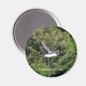 Bradford Lake Loon Magnet (Recto/Verso)