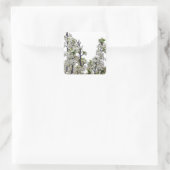 Bradford Pear Blossom Vierkante Sticker (Tas)
