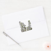 Bradford Pear Blossom Vierkante Sticker (Envelop)