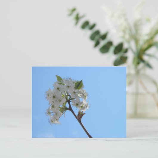 Bradford Pear Tree Briefkaart (Staand voorkant)