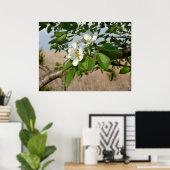 Bradford Pear tree - Poster (Bureau à domicile)