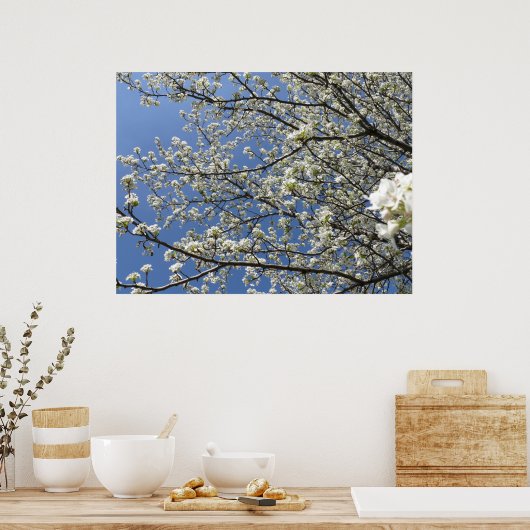 Bradford Pear Tree - Poster (Keuken)