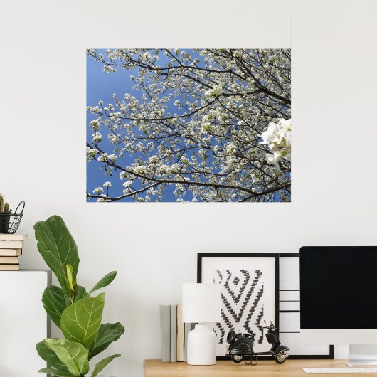 Bradford Pear Tree - Poster (Bureau à domicile)