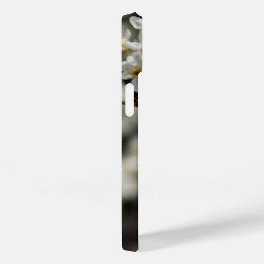 Bradford Select Focus coque iphone (Verso / Droite)