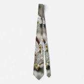 Bradford Select Focus Cravate (Devant)