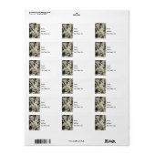 Bradford Select Focus Étiquette de adresse (Feuille entière)