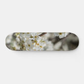 Bradford Select Focus Skateboard (Horizontaal)