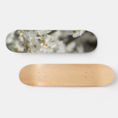 Bradford Select Focus Skateboard (Horizontaal)