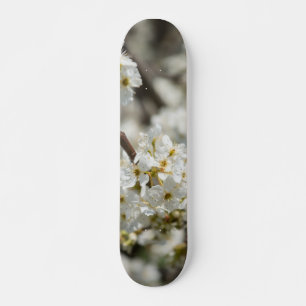 Bradford Select Focus Skateboard
