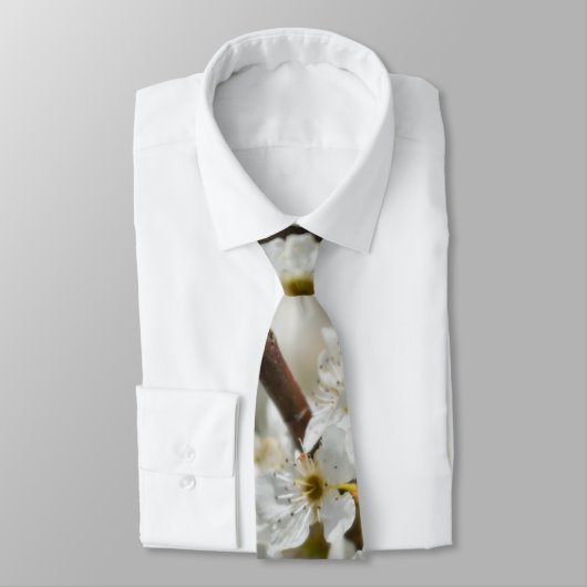 Bradford Select Focus-Stropdas Stropdas (Gebonden)