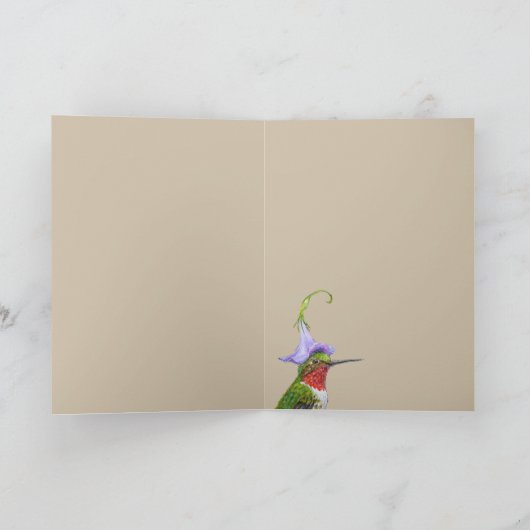 Bradley la carte des colibris (Intérieur)
