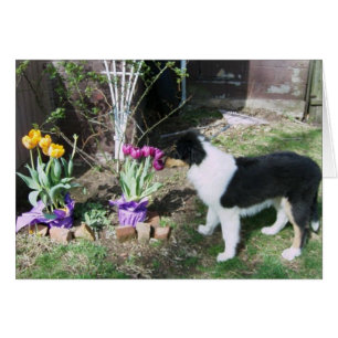 Braedyn sent les fleurs