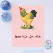 Brahma: Buff Kip Flyer (Enkel)