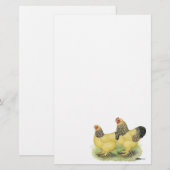 Brahma Buff Pair Briefpapier (Voorkant / Achterkant)