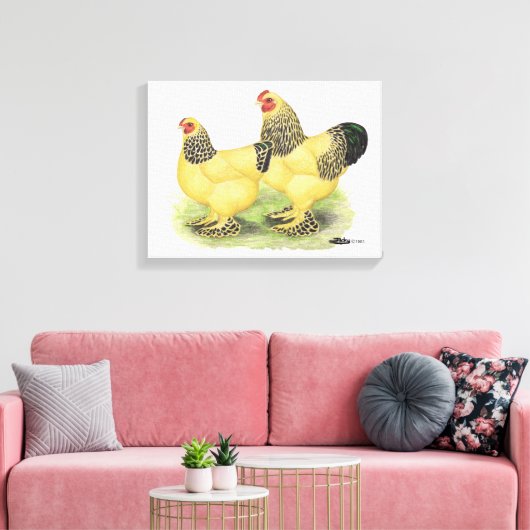 Brahma Buff Pair Canvas Afdruk (Insitu (Woonkamer))