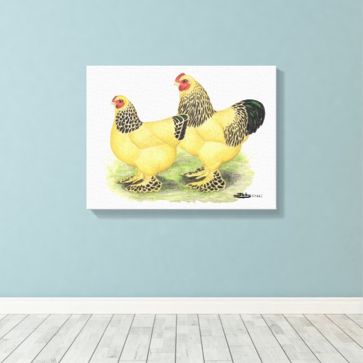 Brahma Buff Pair Canvas Afdruk (Insitu (Houten vloer))