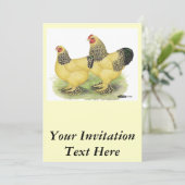 Brahma Buff Pair Kaart (Staand voorkant)