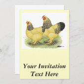 Brahma Buff Pair Kaart (Voorkant / Achterkant)