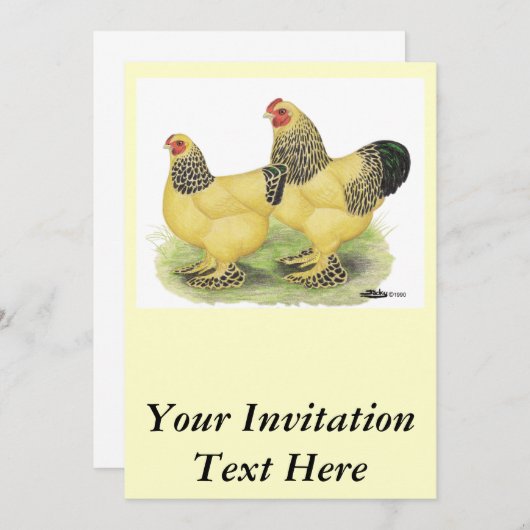 Brahma Buff Pair Kaart (Voorkant / Achterkant)