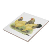 Brahma Buff Pair Tegeltje (Zijkant)