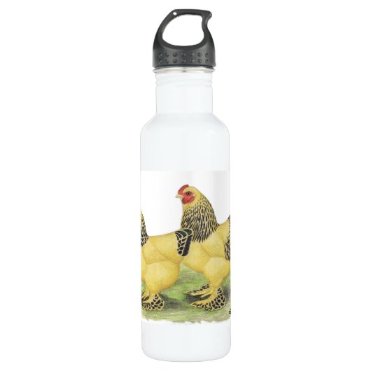 Brahma Buff Pair Waterfles (Voorkant)