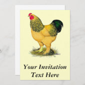 Brahma: Buff Rooster Kaart (Voorkant / Achterkant)