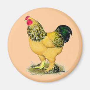Brahma: Buff Rooster Magneet