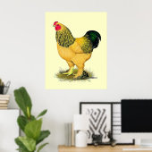 Brahma: Buff Rooster Poster (Thuiskantoor)