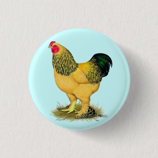 Brahma: Buff Rooster Ronde Button 3,2 Cm (Voorkant)