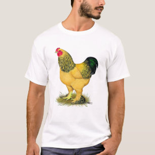 Brahma: Buff Rooster T-shirt