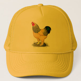 Brahma: Buff Rooster Trucker Pet