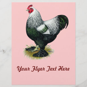 Brahma:  Donkere Haan Flyer