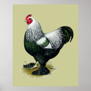 Brahma: Donkere rooster Poster