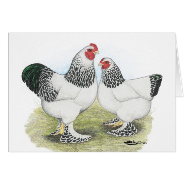 Brahma: Licht2 (Voorkant Horizontaal)