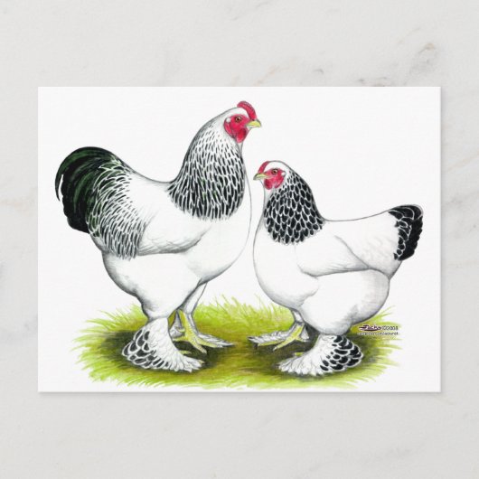 Brahma: Licht Briefkaart (Voorkant)