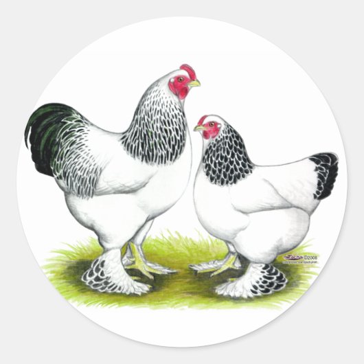 Brahma: Licht Ronde Sticker (Voorkant)