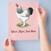 Brahma: Lichte rooster Flyer (Hand)