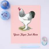 Brahma: Lichte rooster Flyer (Enkel)