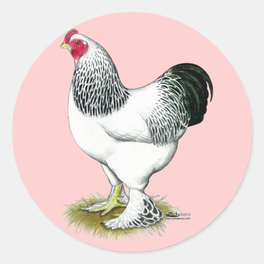 Brahma: Lichte rooster Ronde Sticker (Voorkant)