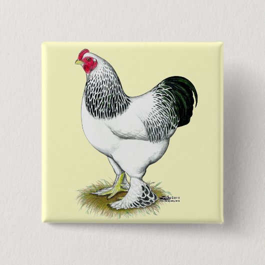 Brahma: Lichte rooster Vierkante Button 5,1 Cm (Voorkant)