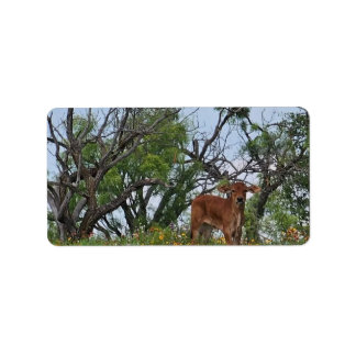 Brahman Calf in Wildflowers Etiket