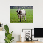 Brahman (ook bekend als Brahma) Bull in Field Poster (Thuiskantoor)