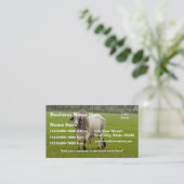 Brahman (ook bekend als Customize) Brahma) Bull in Visitekaartje (Staand voorkant)